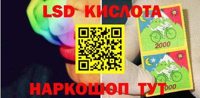 PSILOCYBIN Пенза