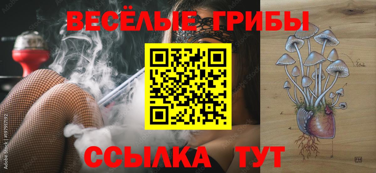 Псилоцибиновые грибы мухоморы Серов