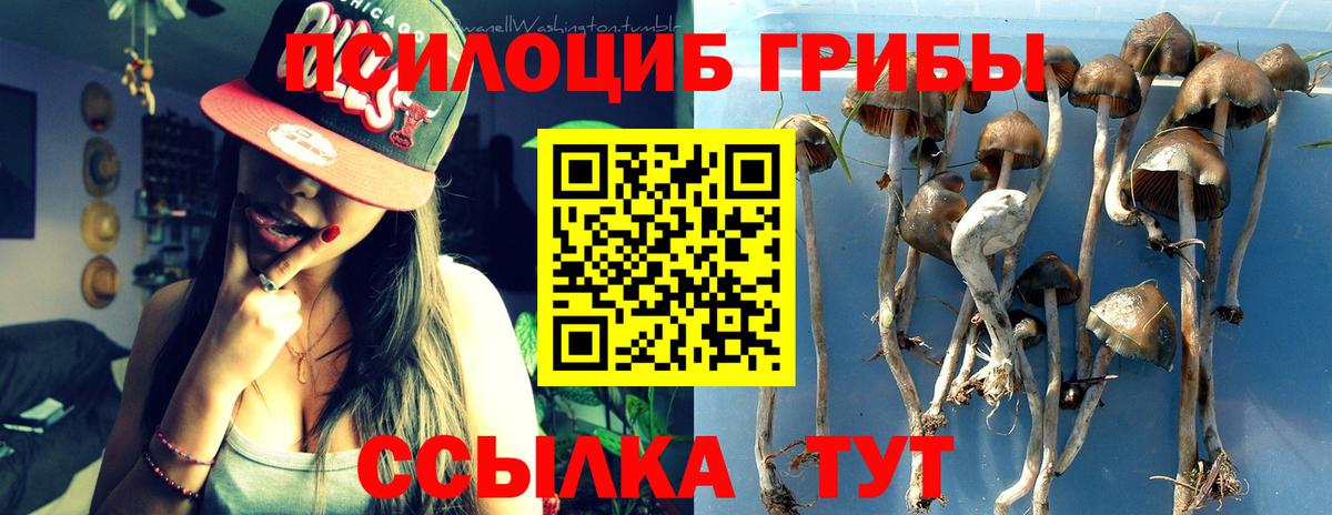 Галлюциногенные грибы ЛСД  Вход с VPN  Серов  Галлюциногенные грибы Psilocybine cubensis 